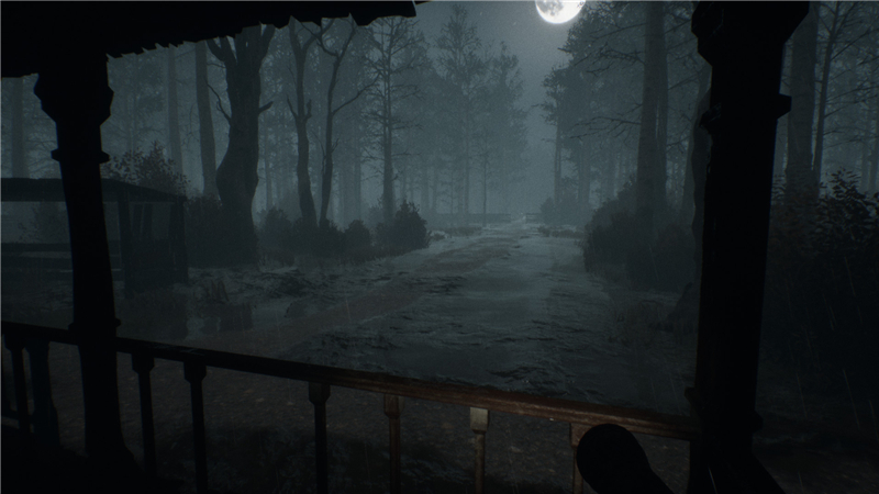 瘋狂：圣羅德小鎮中文版