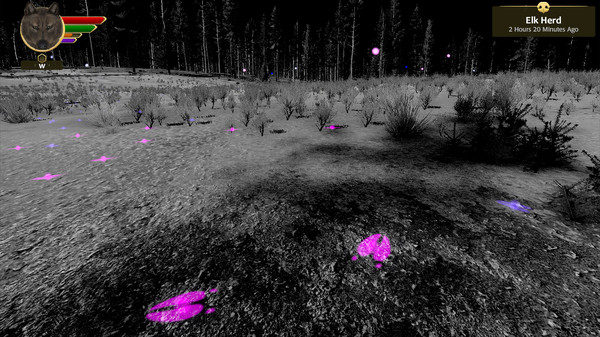 野狼迷蹤：周年紀念版