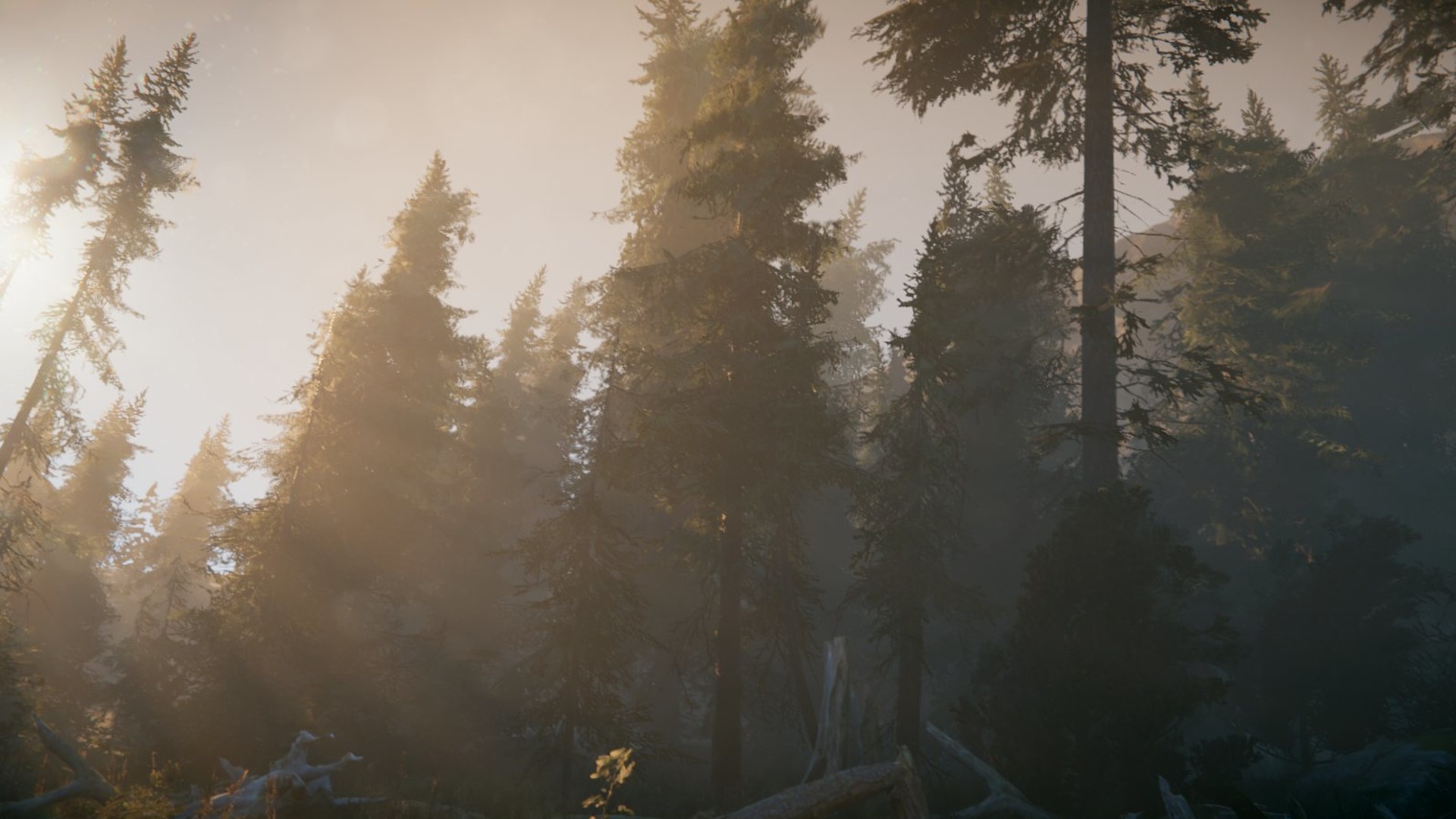 恐懼選集中文版