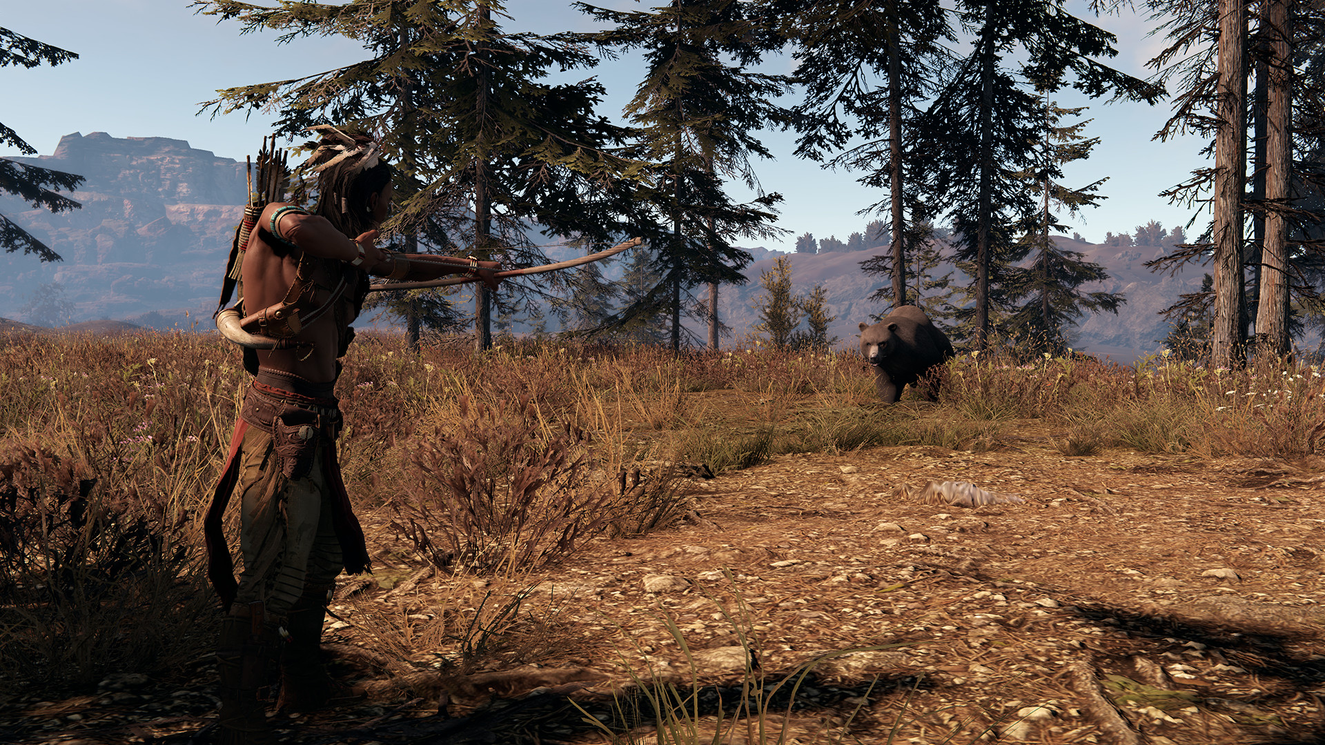 這片土地是我的土地