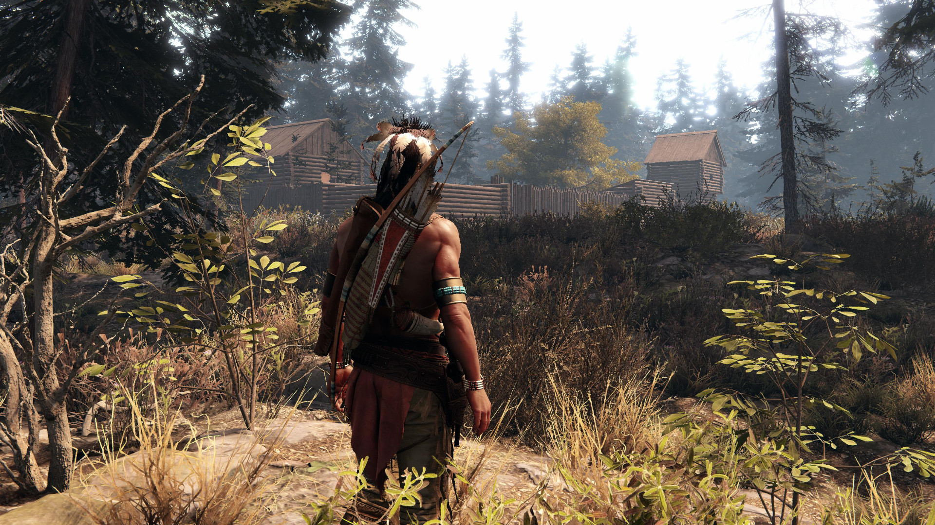 這片土地是我的土地