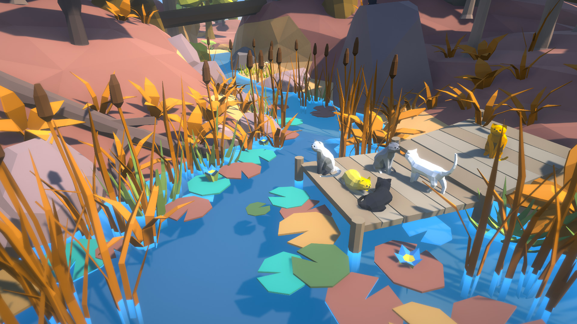 夏日貓爪中文版