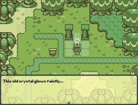 蒂莫西與神秘森林