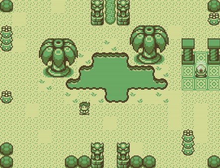 蒂莫西與神秘森林