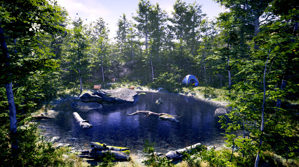 傳說(shuō)中的森林破解版