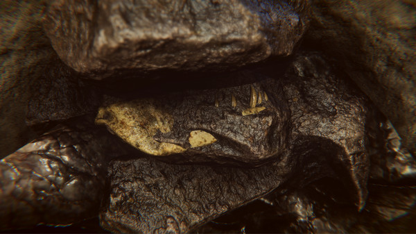 恐龍化石獵人破解版