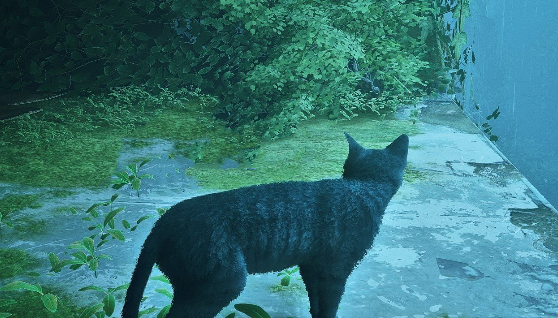《Stray》灰毛貓MOD