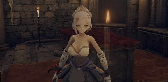 《艾爾登法環(huán)》諾艾爾素體替換觀星者長袍等裝備MOD