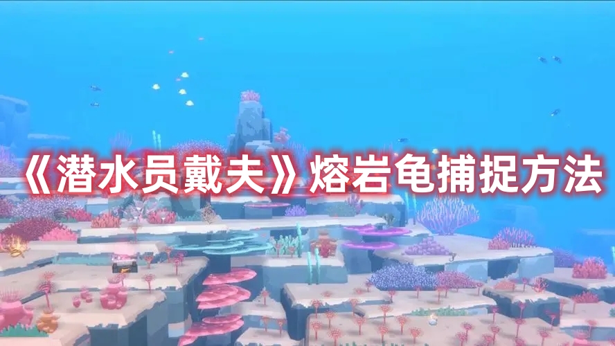 《潛水員戴夫》熔巖龜捕捉方法