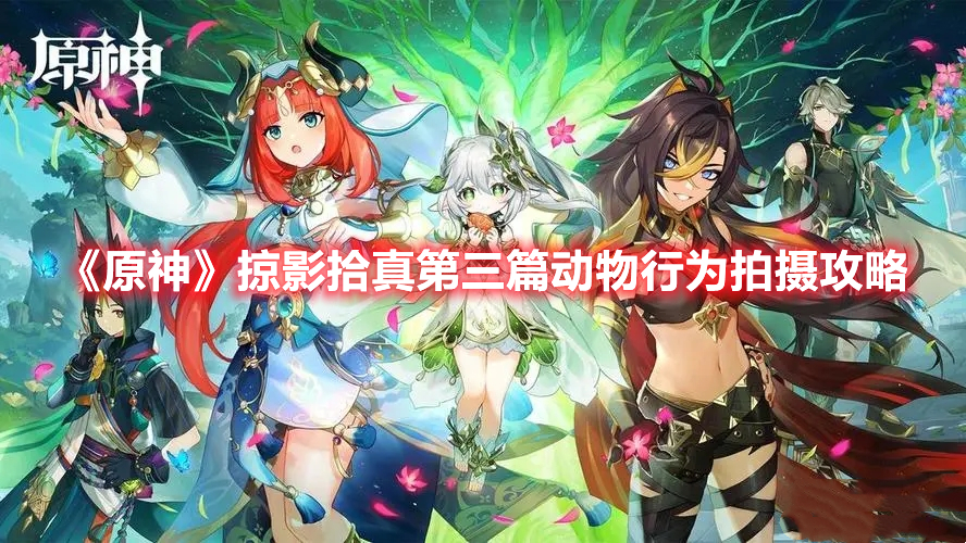 《原神》掠影拾真第三篇動物行為拍攝攻略