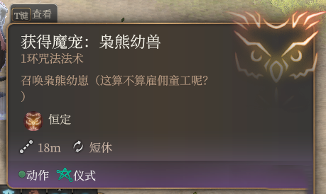 《博德之門3》召喚梟熊幼獸MOD