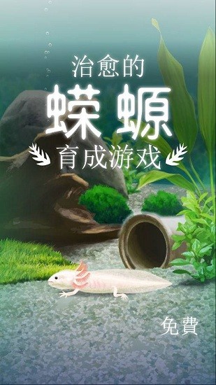 治愈的蠑螈
