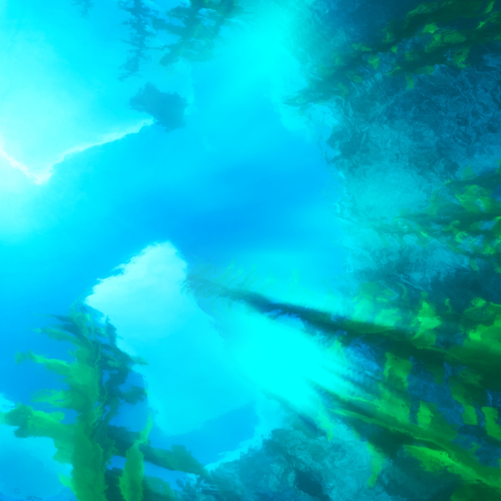 《Wallpaper Engine》我的世界高清材質水下視角動態壁紙