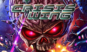 危機(jī)聯(lián)隊(duì)