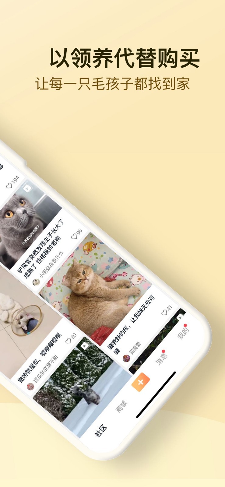 小萌貓