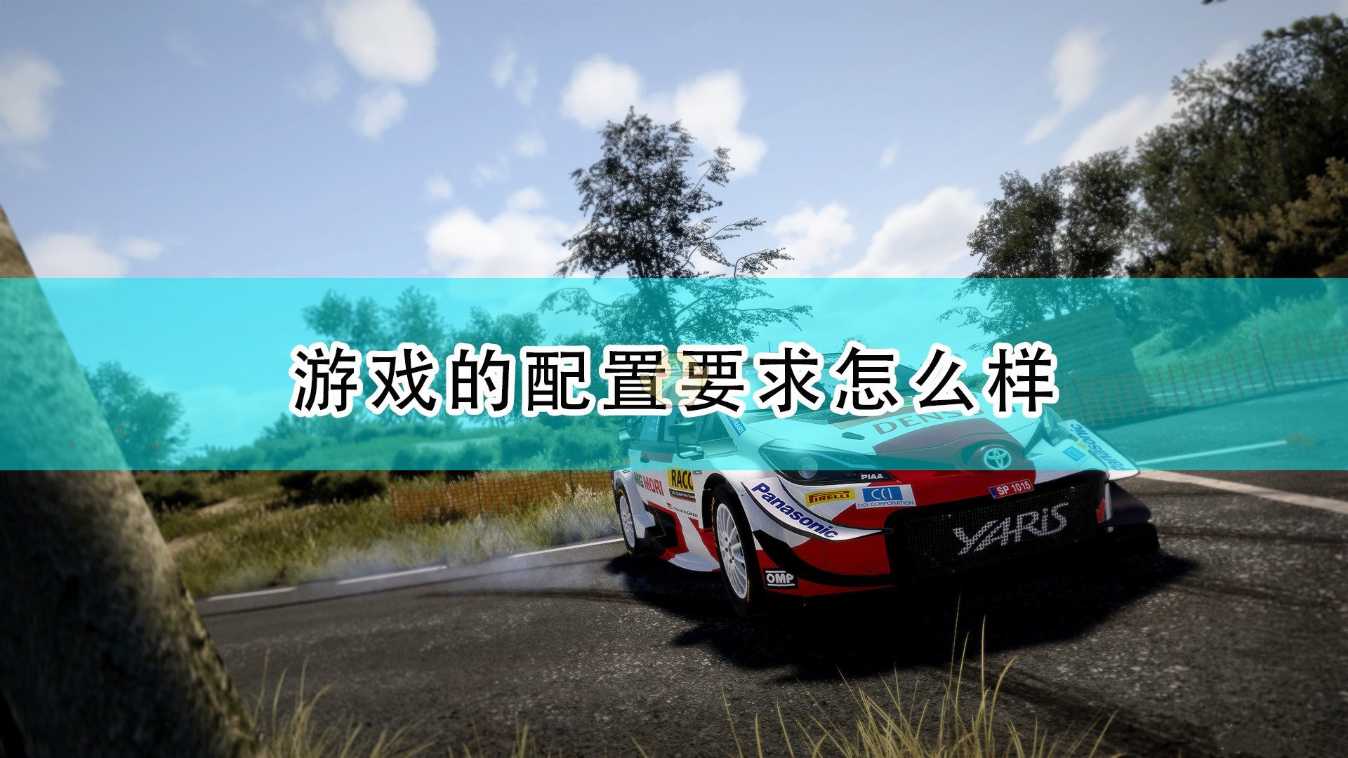 《世界汽車?yán)﹀\標(biāo)賽10》游戲具體配置要求介紹