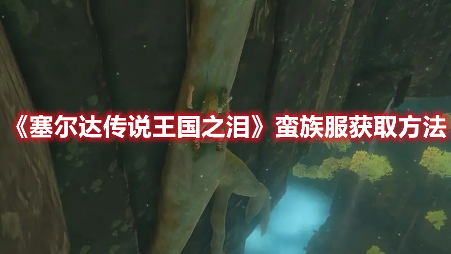 《塞爾達傳說王國之淚》蠻族服獲取方法