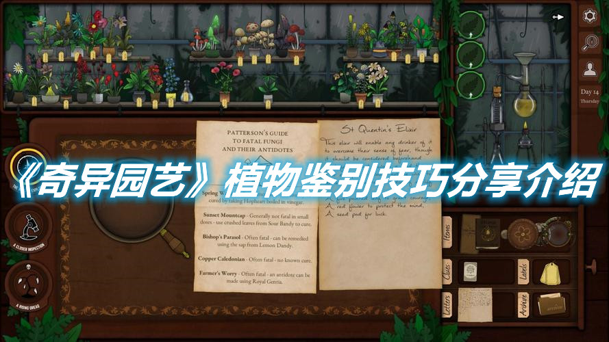 《奇異園藝》植物鑒別技巧分享介紹