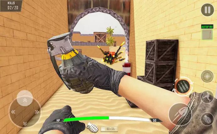 特種兵精英殺手
