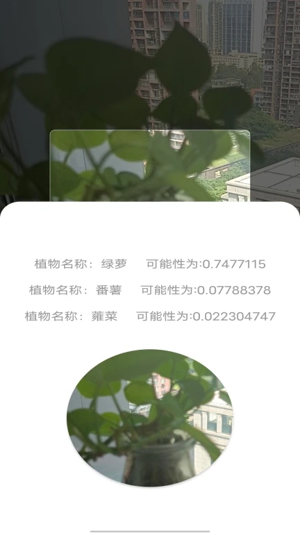 拍照識別植物弛意版
