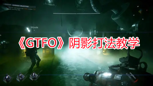 《GTFO》陰影打法教學
