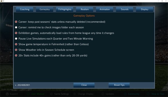 職業戰略足球2024