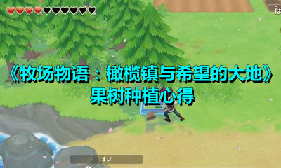 《牧場物語：橄欖鎮與希望的大地》果樹種植心得