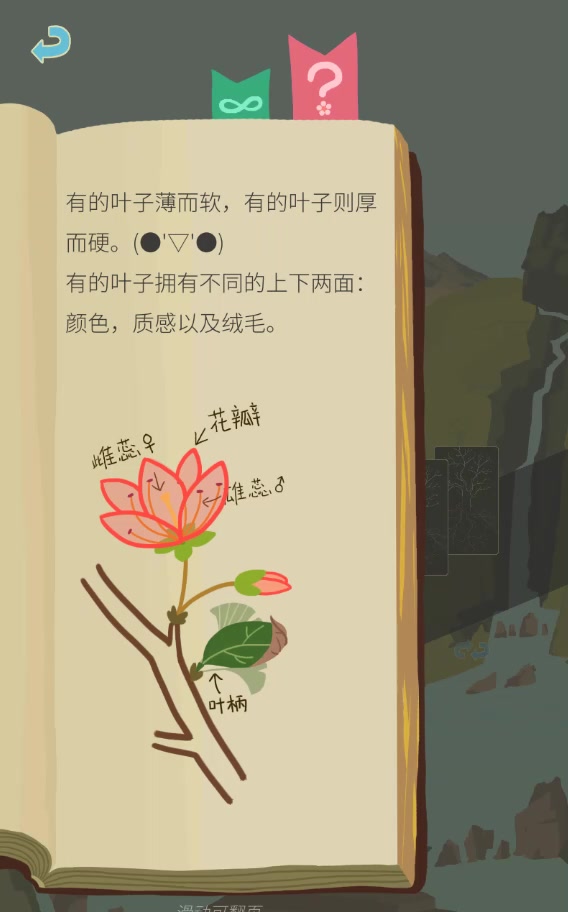 老農種樹
