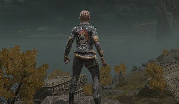 《艾爾登法環》真人快打凱西替換觀布質上衣MOD