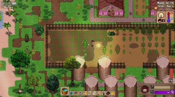 德維恩：天堂般的土地