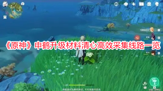 《原神》申鶴升級材料清心高效采集線路一覽