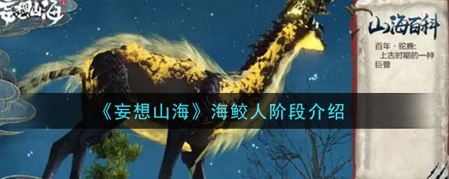 《妄想山海》海鮫人階段一覽