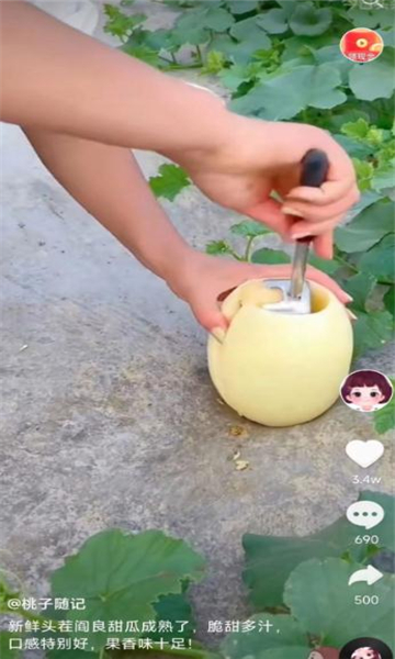 南猴短視頻