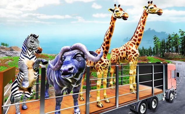 美國動物運(yùn)輸
