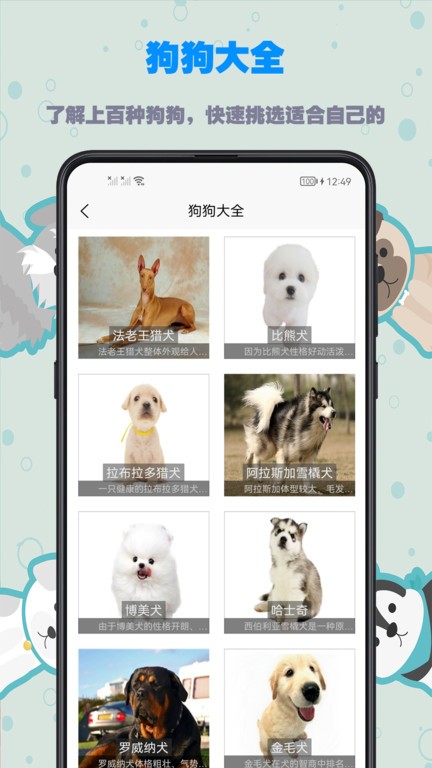 訓狗教程大全