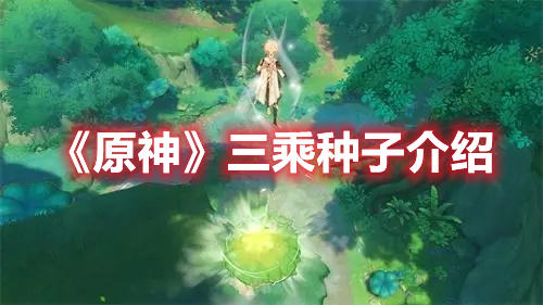 《原神》三乘種子介紹