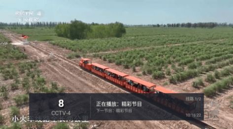 小青椒TV
