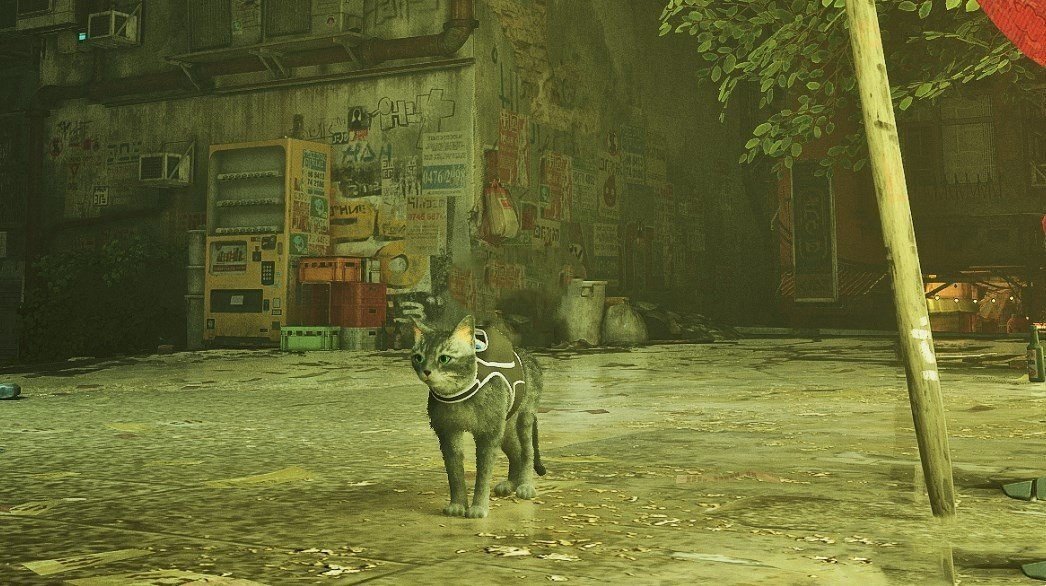 《Stray》灰毛貓MOD