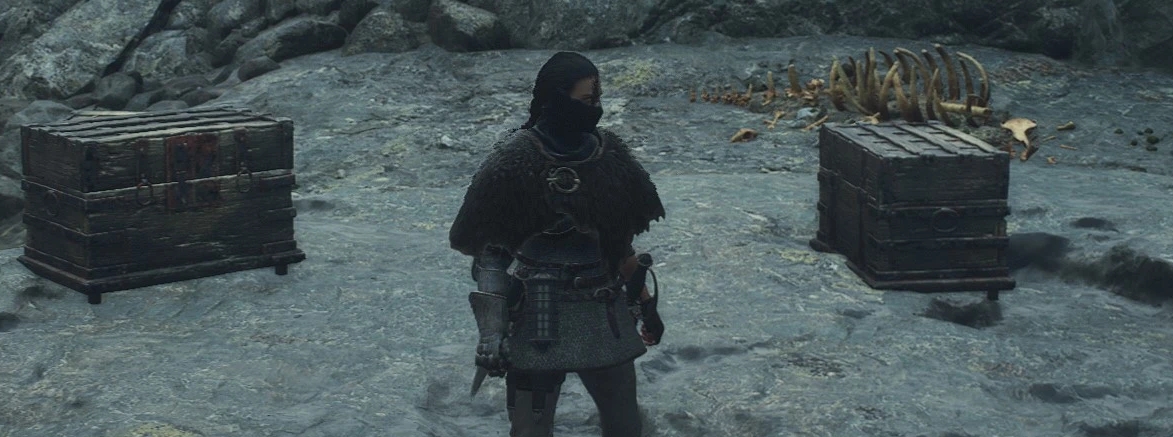 《龍之信條2》更多隨機寶箱MOD