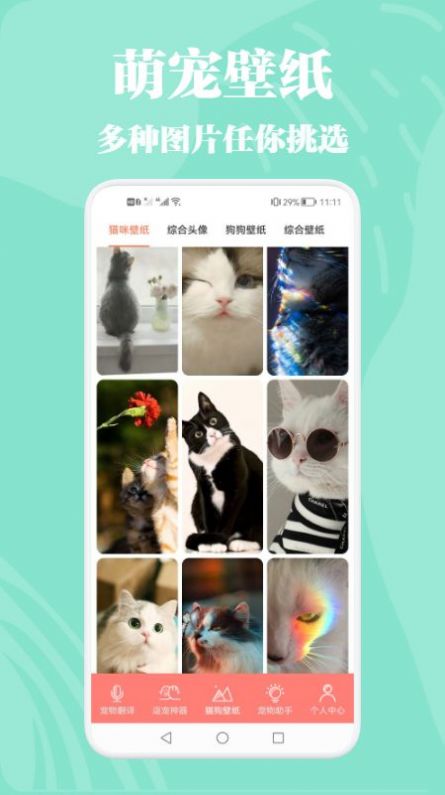 貓狗動(dòng)物交流器