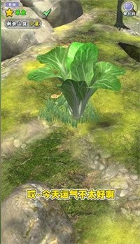 奪筍高手趕山