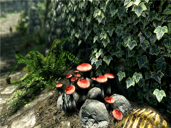 《上古卷軸5：天際重制版》CBPC-SSE和VR碰撞物理v1.6.1