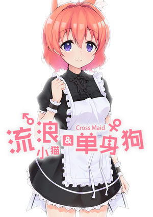 流浪小貓單身狗