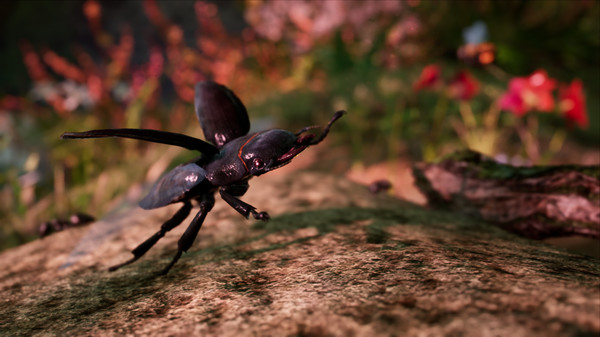 遙遠：生存系列