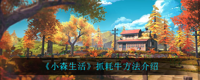 《小森生活》抓耗牛方法一覽