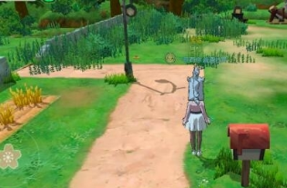 《小森生活》貓放在家里方法