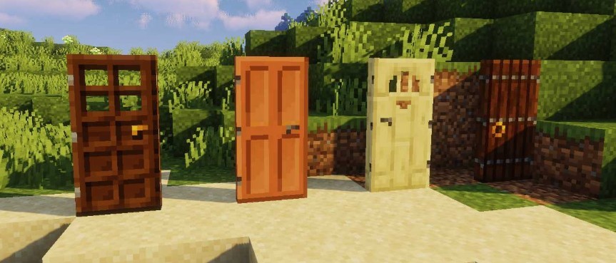 《我的世界》1.16.5多種多樣的門MOD
