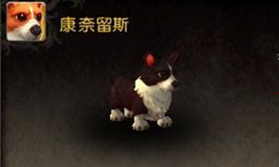 《魔獸世界》寵物康奈留斯獲取攻略