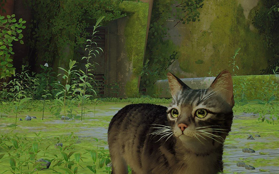 《Stray》灰色虎斑貓MOD