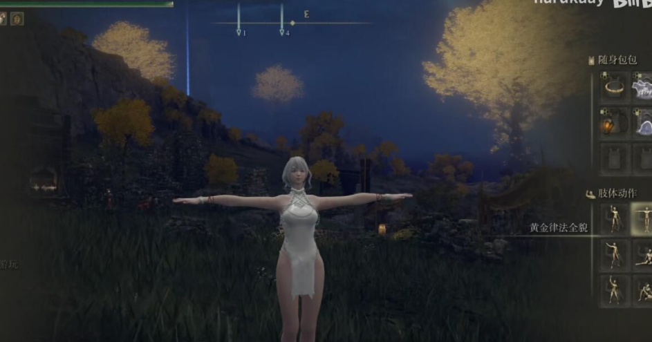 《艾爾登法環(huán)》黑色沙漠蘭角色MOD